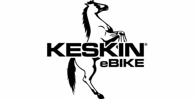 Keskin-Logo